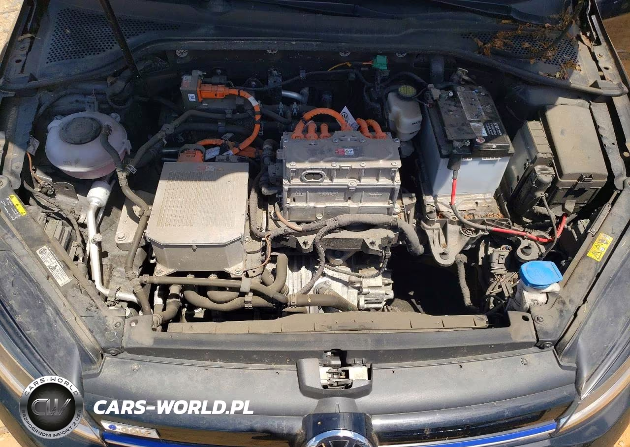 2019 Volkswagen E-Golf Se VIN:WVWKR7AU4KW919282 - 12