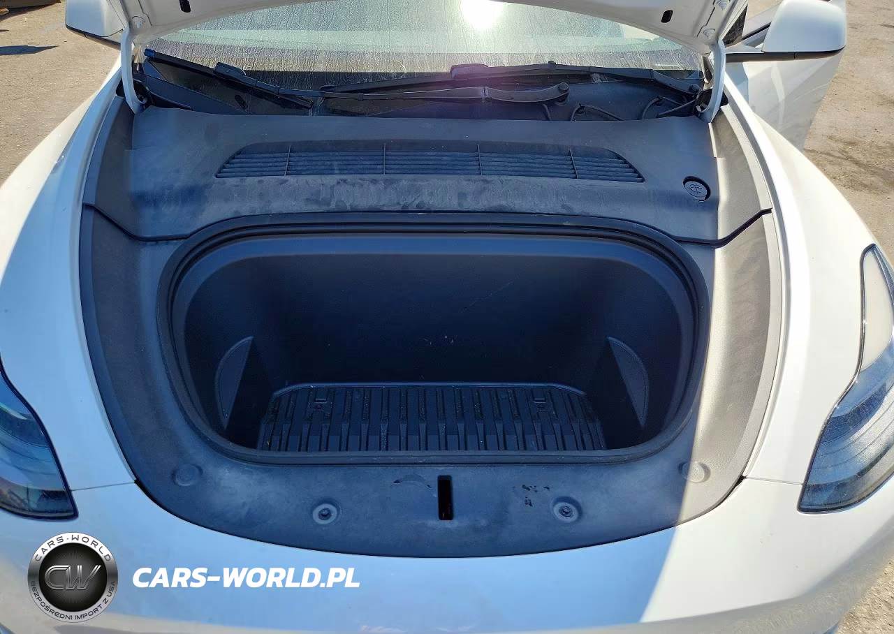 2023 Tesla Model Y VIN:7SAYGDEEXPF887034 - 11