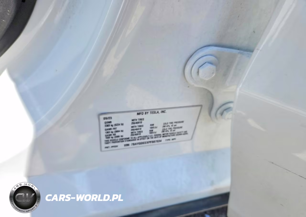 2023 Tesla Model Y VIN:7SAYGDEEXPF887034 - 12