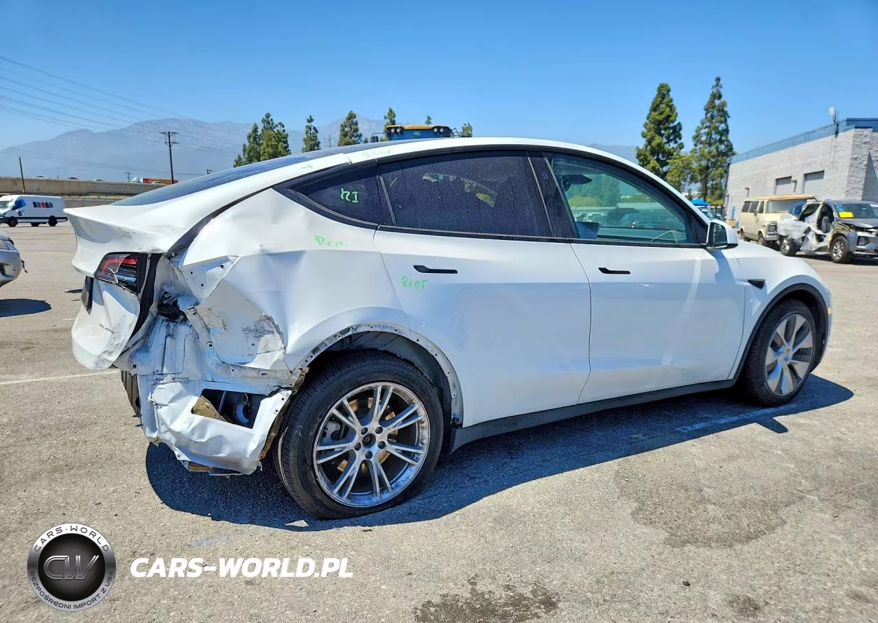 2023 Tesla Model Y VIN:7SAYGDEEXPF887034 - 3