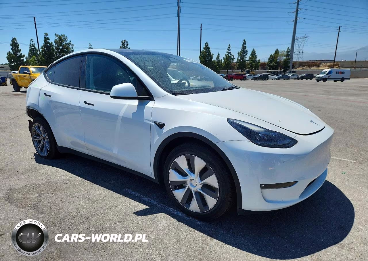 2023 Tesla Model Y VIN:7SAYGDEEXPF887034 - 4
