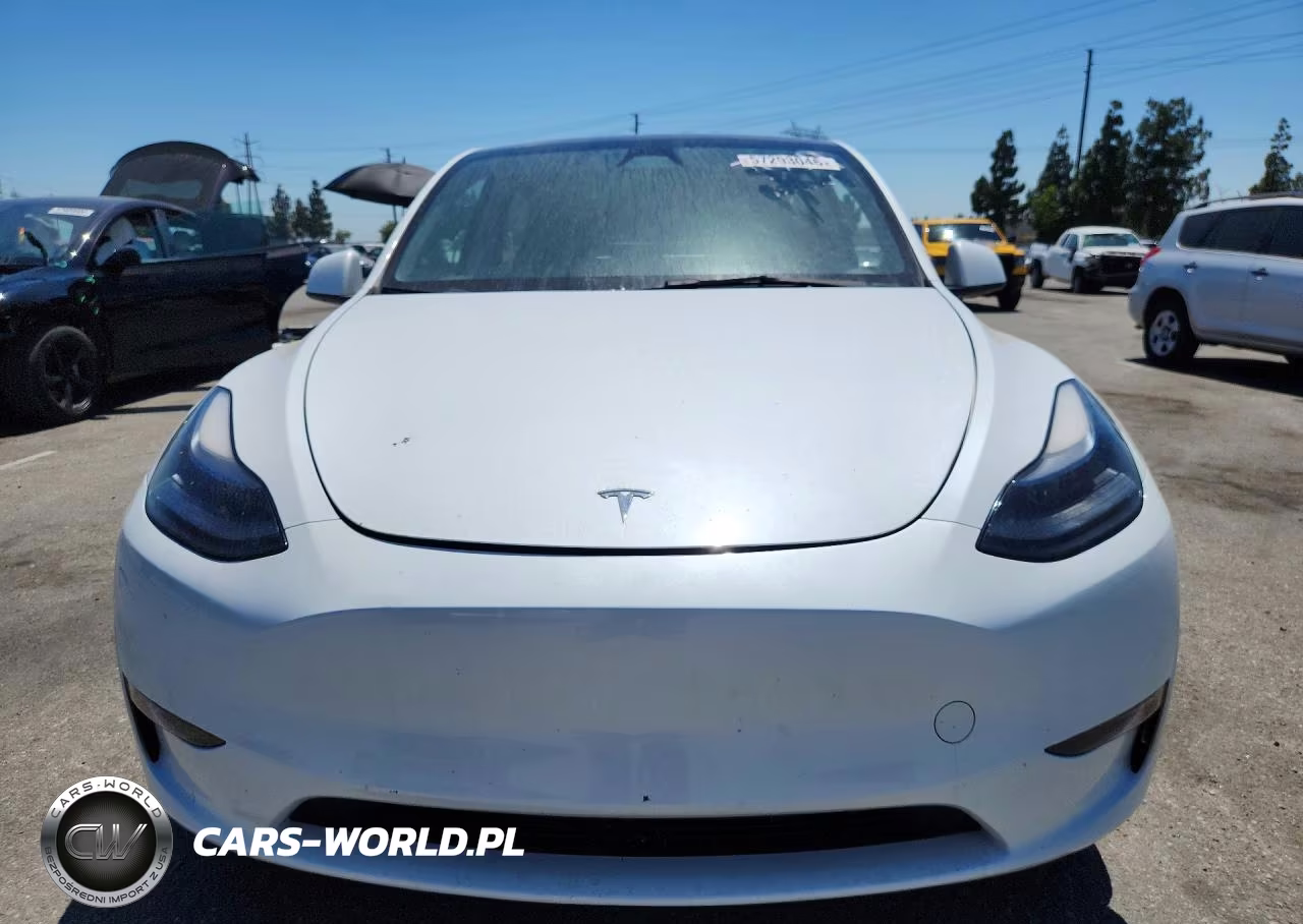 2023 Tesla Model Y VIN:7SAYGDEEXPF887034 - 5