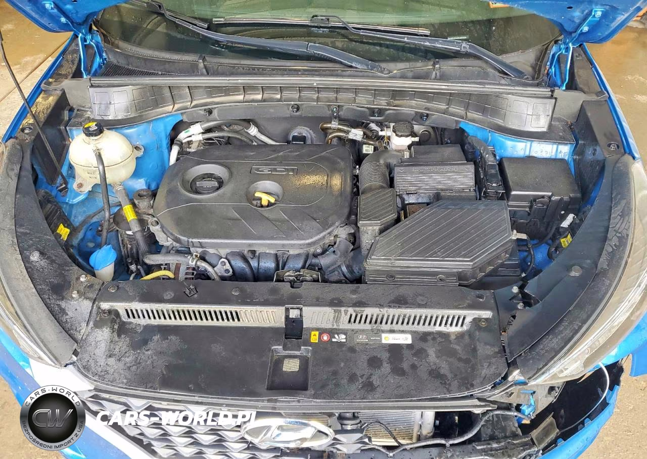 2019 Hyundai Tucson Se VIN:KM8J2CA45KU894828 - 12