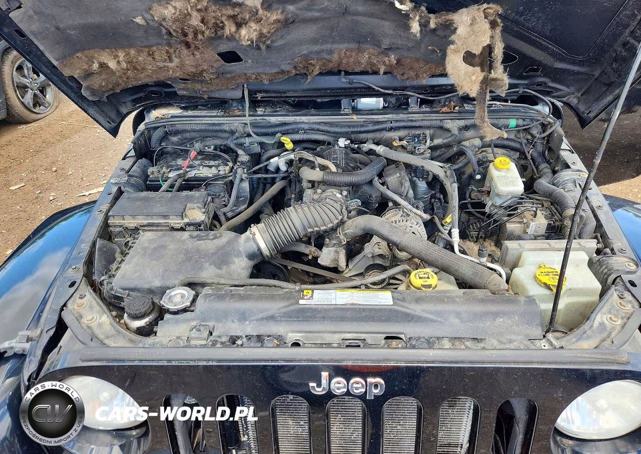 2010 Jeep Wrangler Unlimited Sahara VIN:1J4BA5H18AL205639 - 12