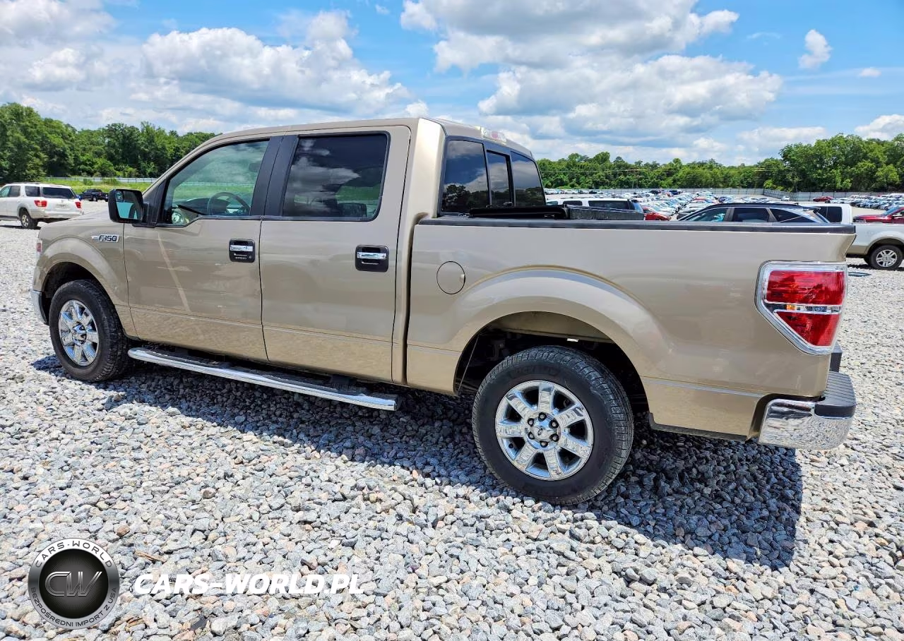 2014 Ford F150 Supercrew VIN:1FTFW1CF4EFB25084 - 2