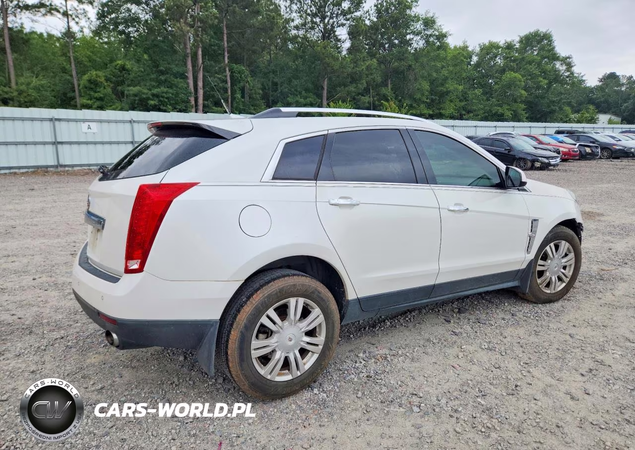 2010 Cadillac Srx Luxury Collection VIN:3GYFNAEY6AS630979 - 3