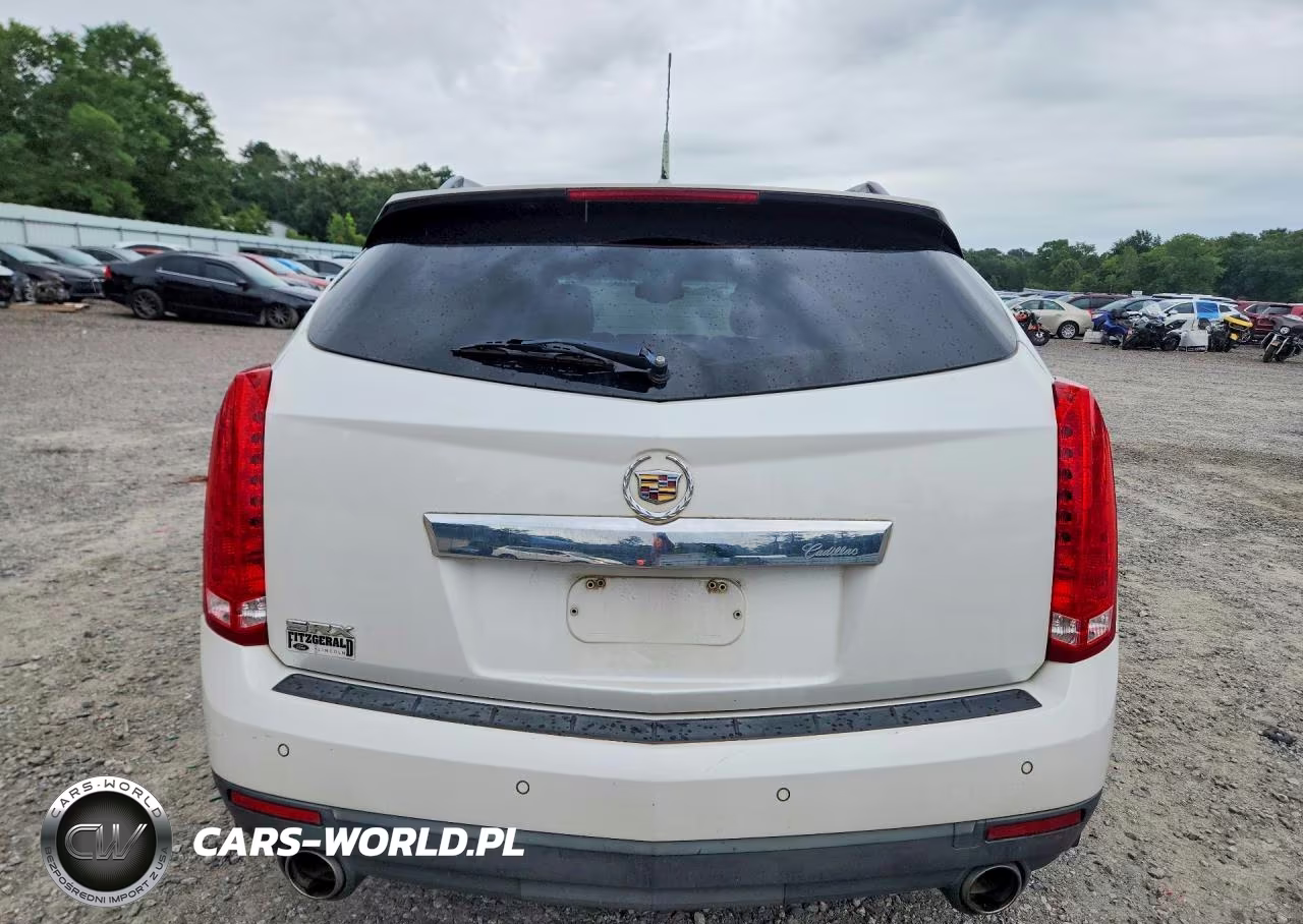 2010 Cadillac Srx Luxury Collection VIN:3GYFNAEY6AS630979 - 6