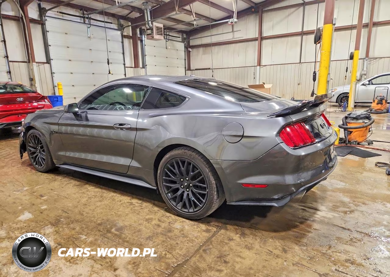 2017 Ford Mustang Gt VIN:1FA6P8CF1H5224337 - 2