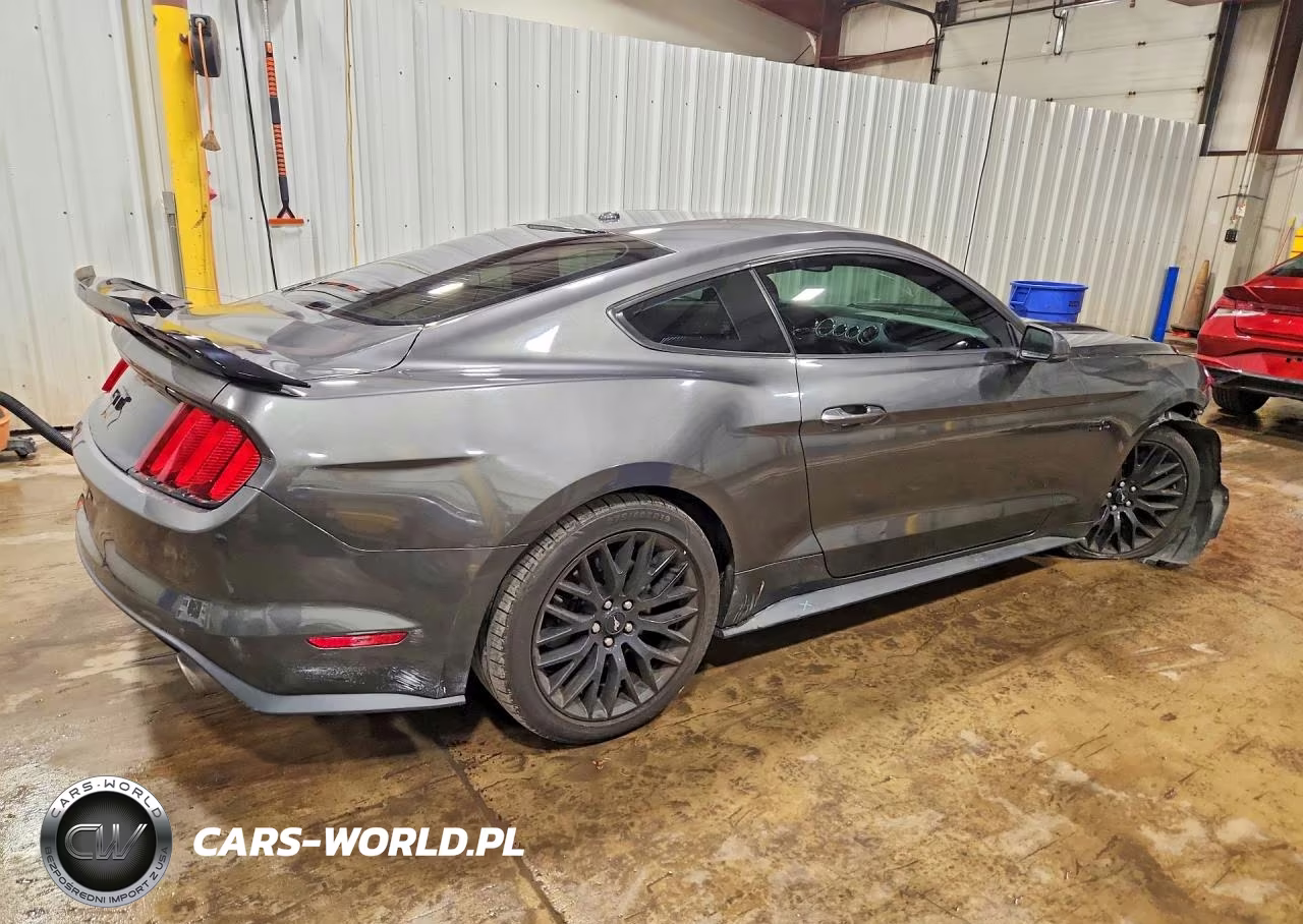 2017 Ford Mustang Gt VIN:1FA6P8CF1H5224337 - 3