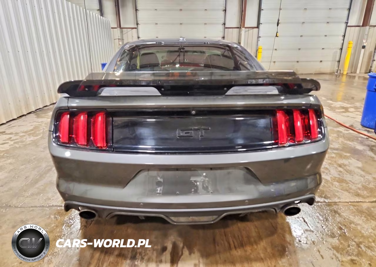 2017 Ford Mustang Gt VIN:1FA6P8CF1H5224337 - 6