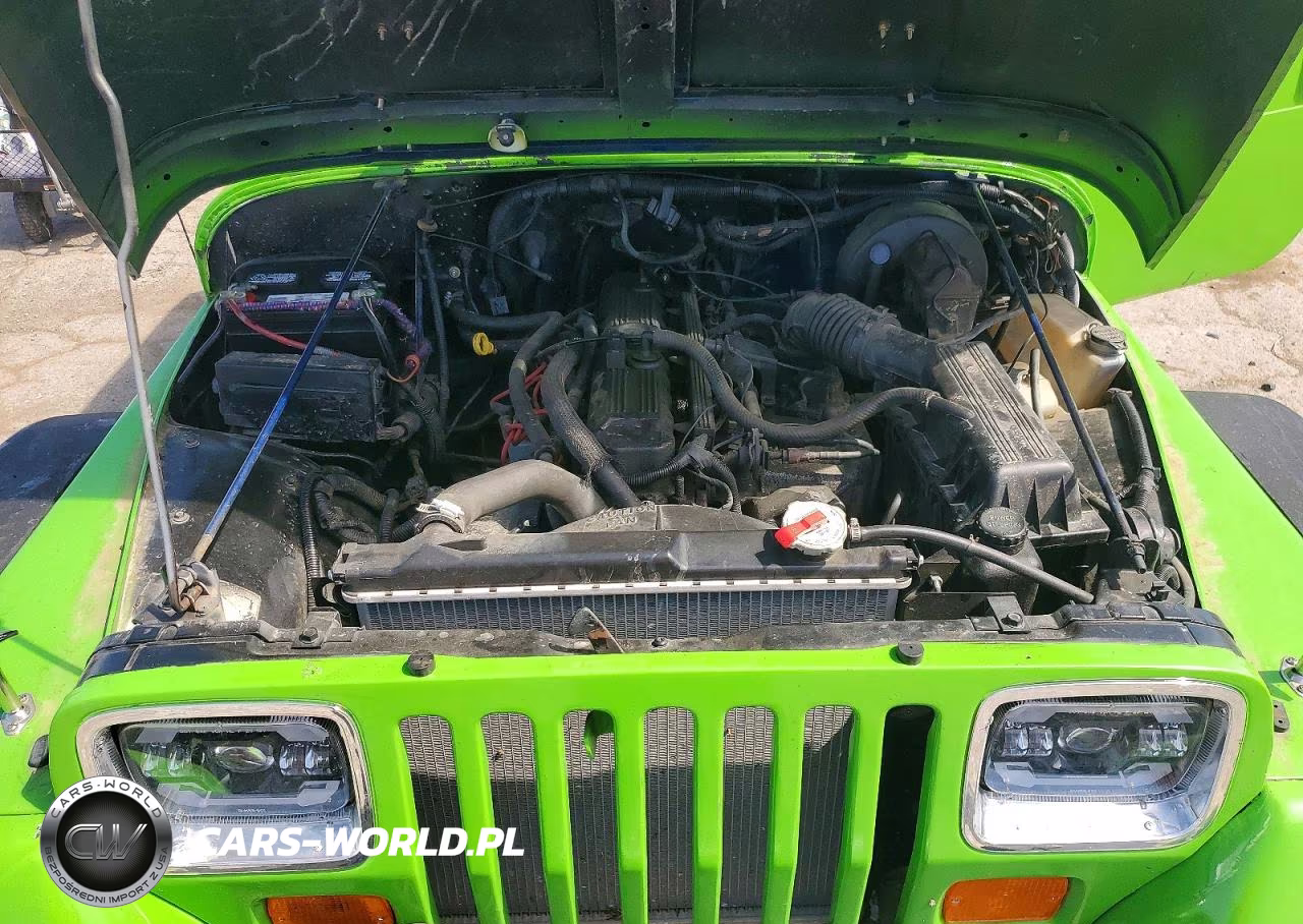1994 Jeep Wrangler - Yj Se VIN:1J4FY29S8RP446950 - 11