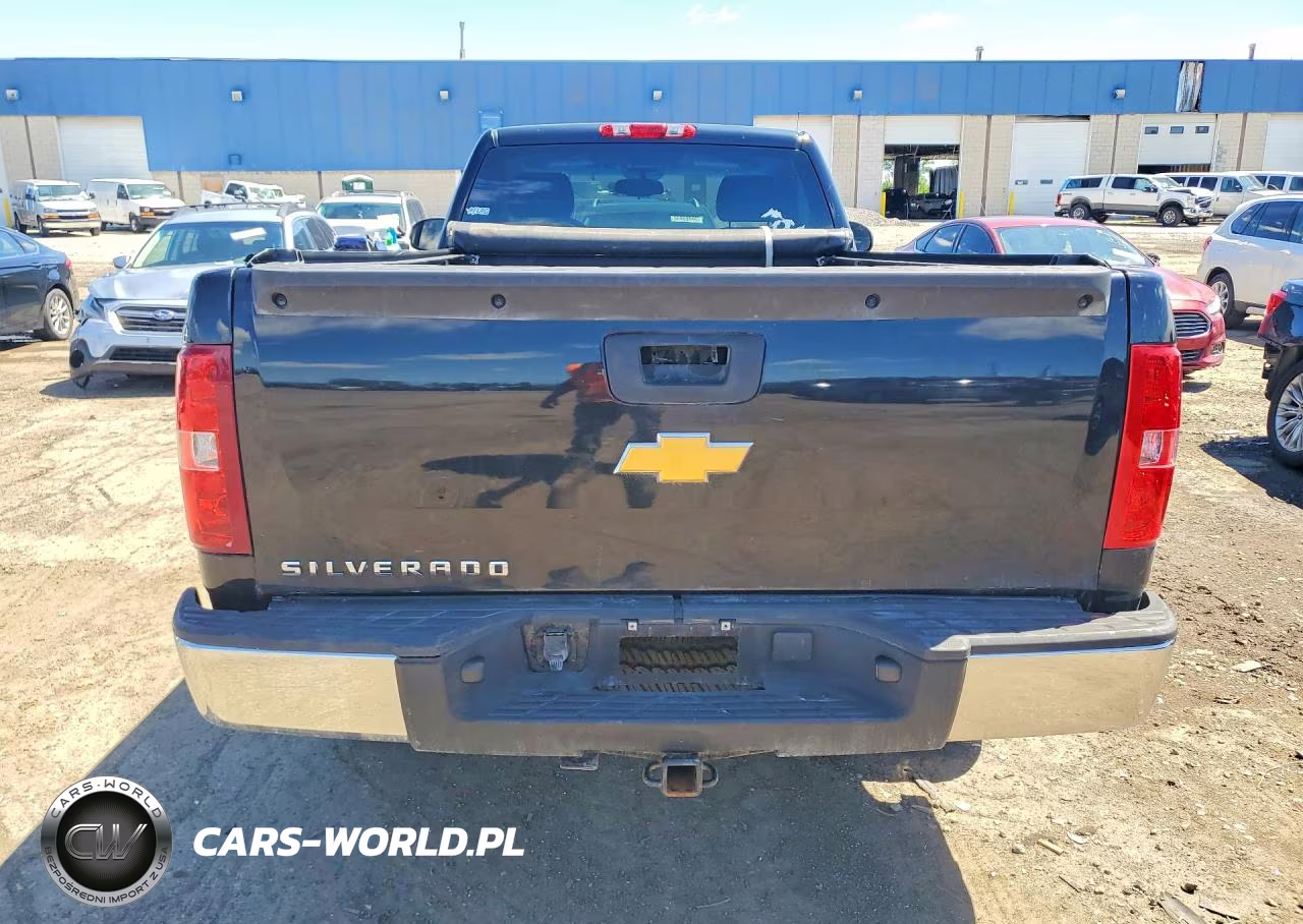 2009 Chevrolet Silverado C1500 VIN:1GCEC14X19Z207368 - 6
