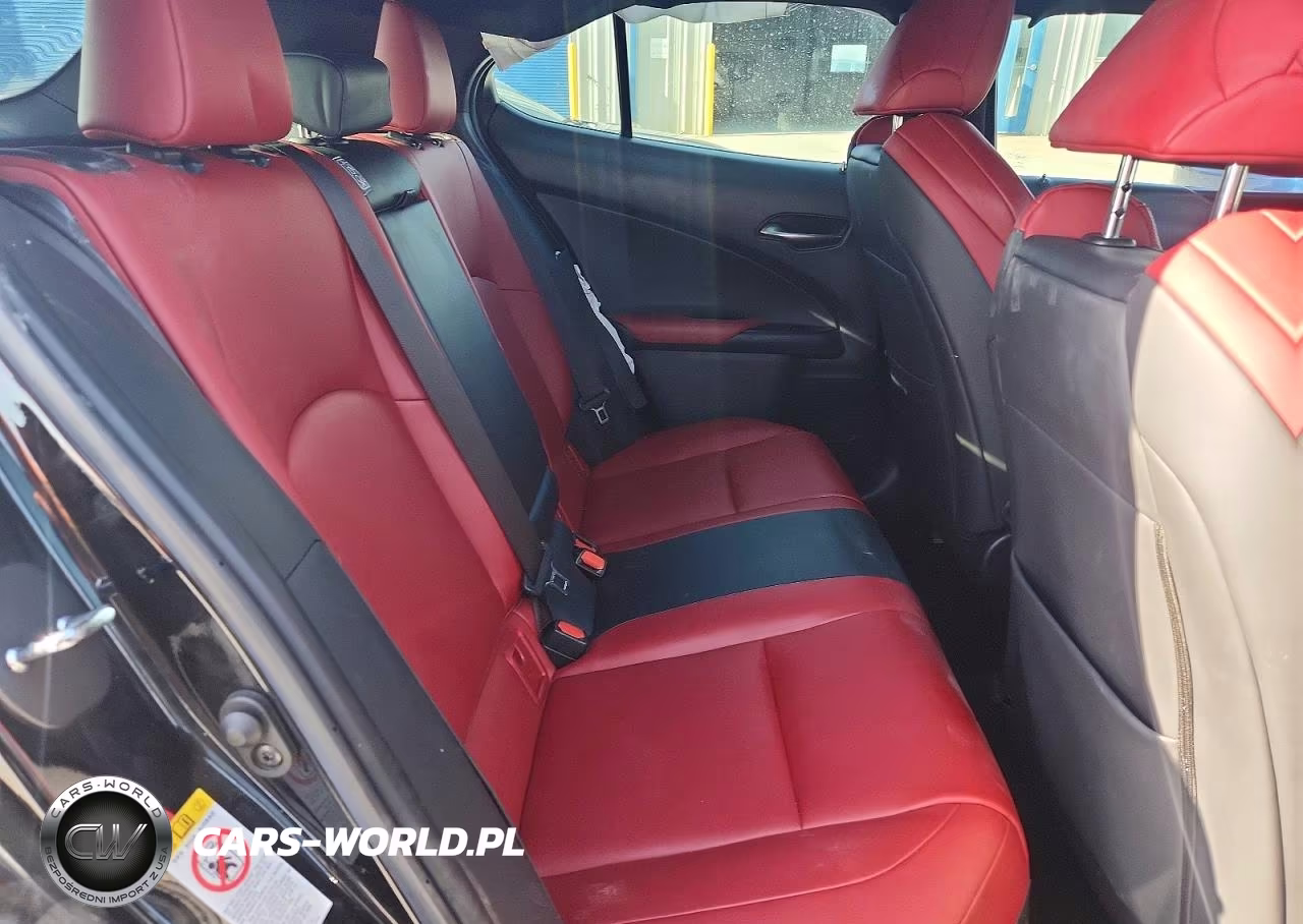2019 Lexus Ux 200 VIN:JTHY3JBH0K2002355 - 10