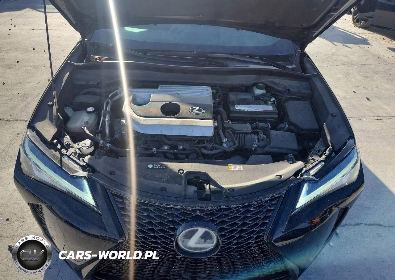 2019 Lexus Ux 200 VIN:JTHY3JBH0K2002355 - 11