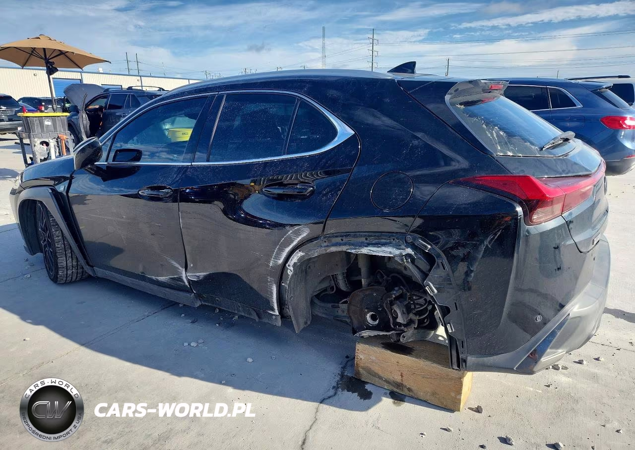 2019 Lexus Ux 200 VIN:JTHY3JBH0K2002355 - 2