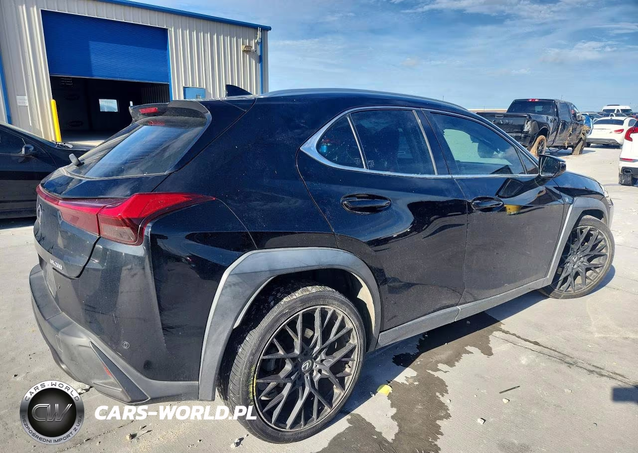 2019 Lexus Ux 200 VIN:JTHY3JBH0K2002355 - 3