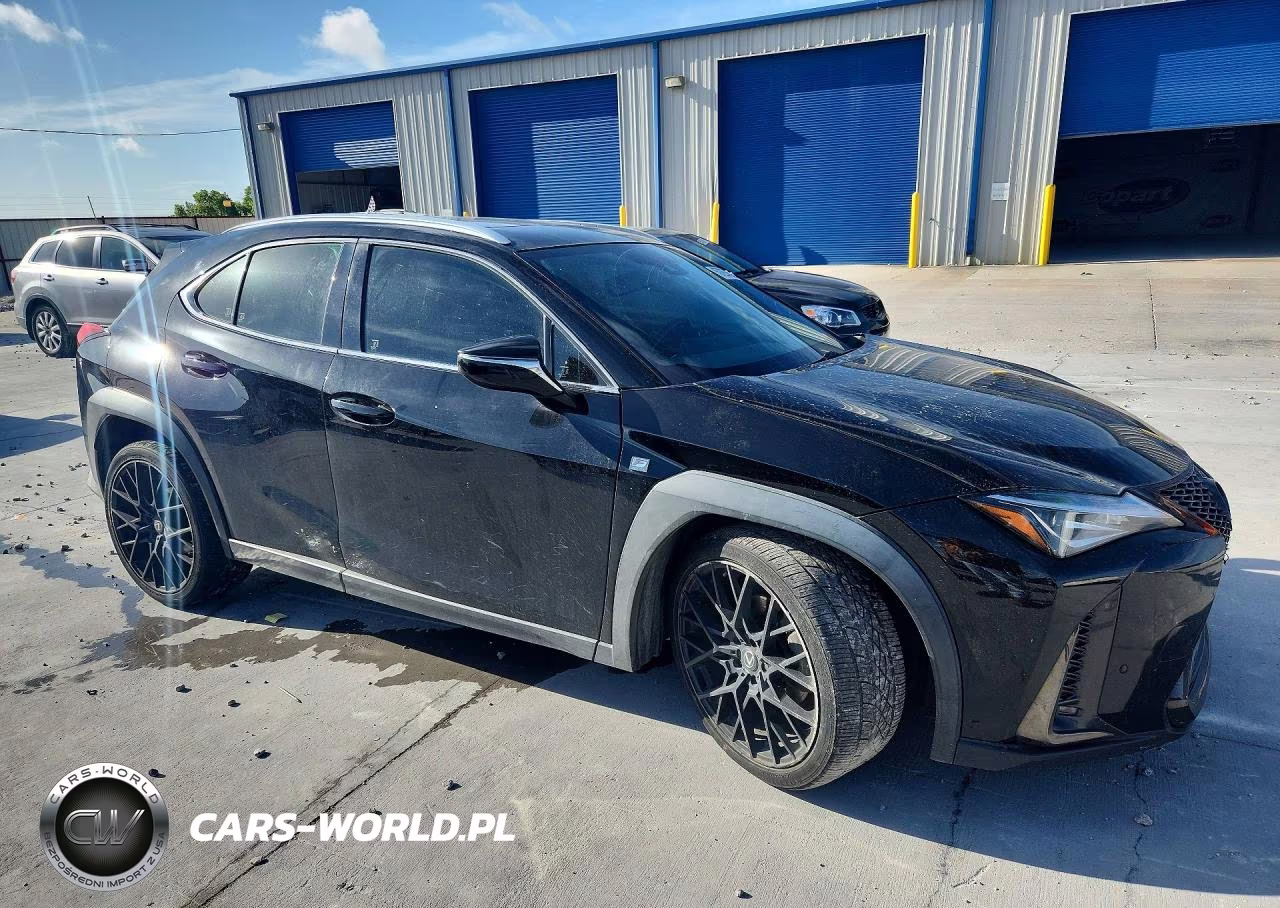 2019 Lexus Ux 200 VIN:JTHY3JBH0K2002355 - 4