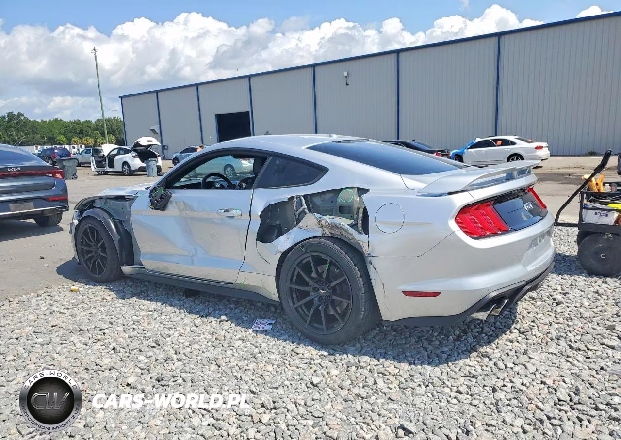 2019 Ford Mustang Gt VIN:1FA6P8CF9K5174052 - 2