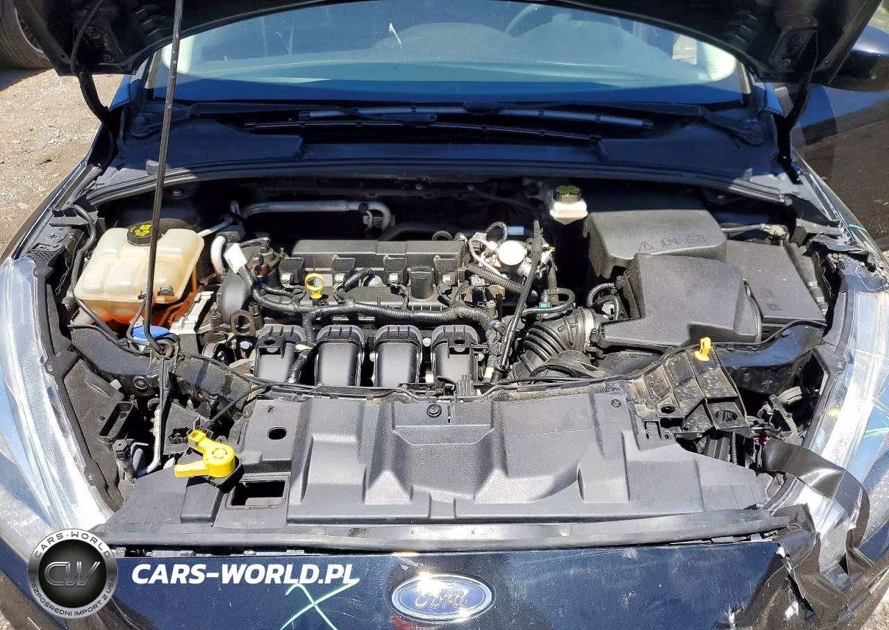 2018 Ford Focus Se VIN:1FADP3F23JL212792 - 11