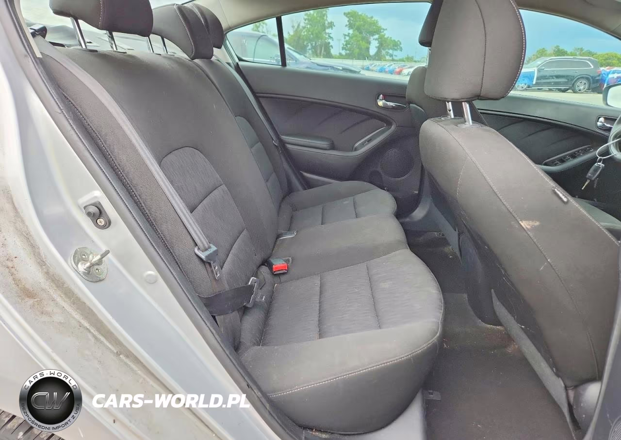 2016 Kia Forte Lx VIN:KNAFK4A60G5441863 - 10