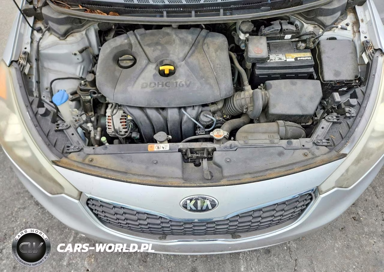 2016 Kia Forte Lx VIN:KNAFK4A60G5441863 - 11