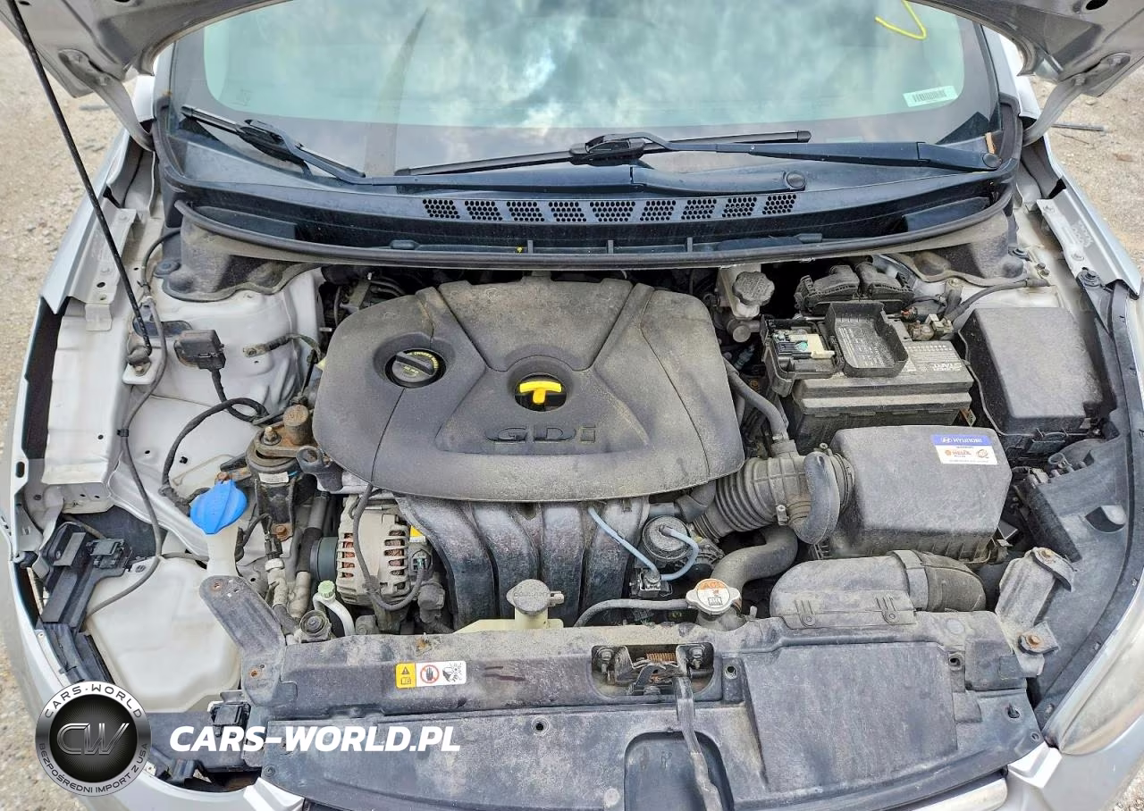 2015 Hyundai Elantra Sport VIN:KMHDH4AH2FU342519 - 11