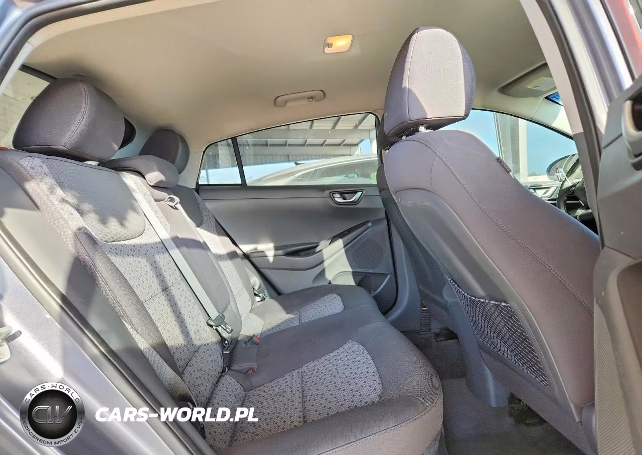 2017 Hyundai Ioniq Sel VIN:KMHC75LC9HU027970 - 10