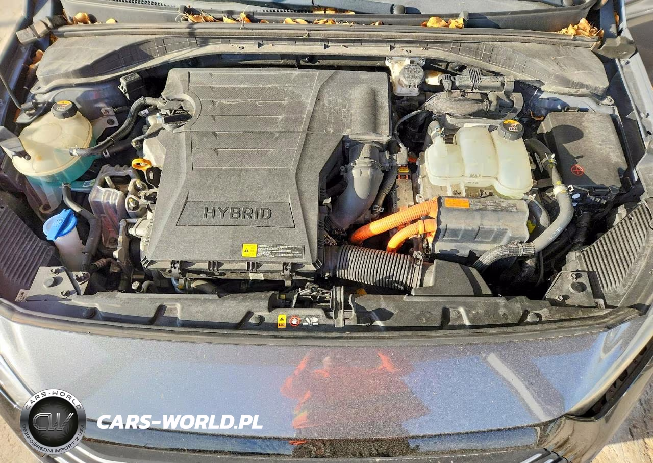2017 Hyundai Ioniq Sel VIN:KMHC75LC9HU027970 - 11