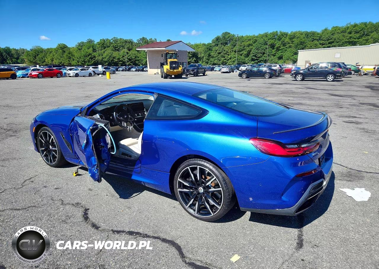 2023 BMW M850Xi VIN:WBABC4C06PCM69120 - 2