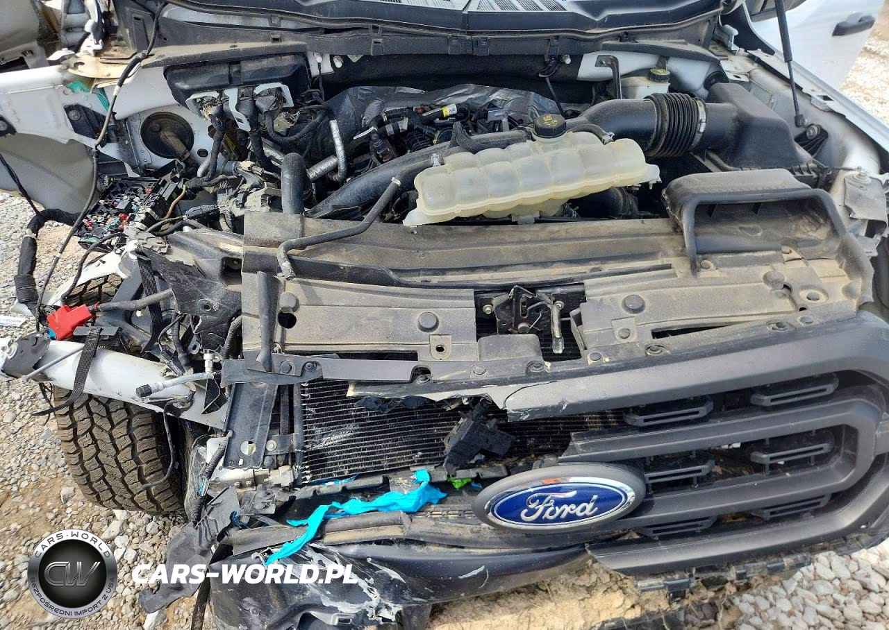 2021 Ford F150 VIN:1FTMF1CP4MKD64415 - 11
