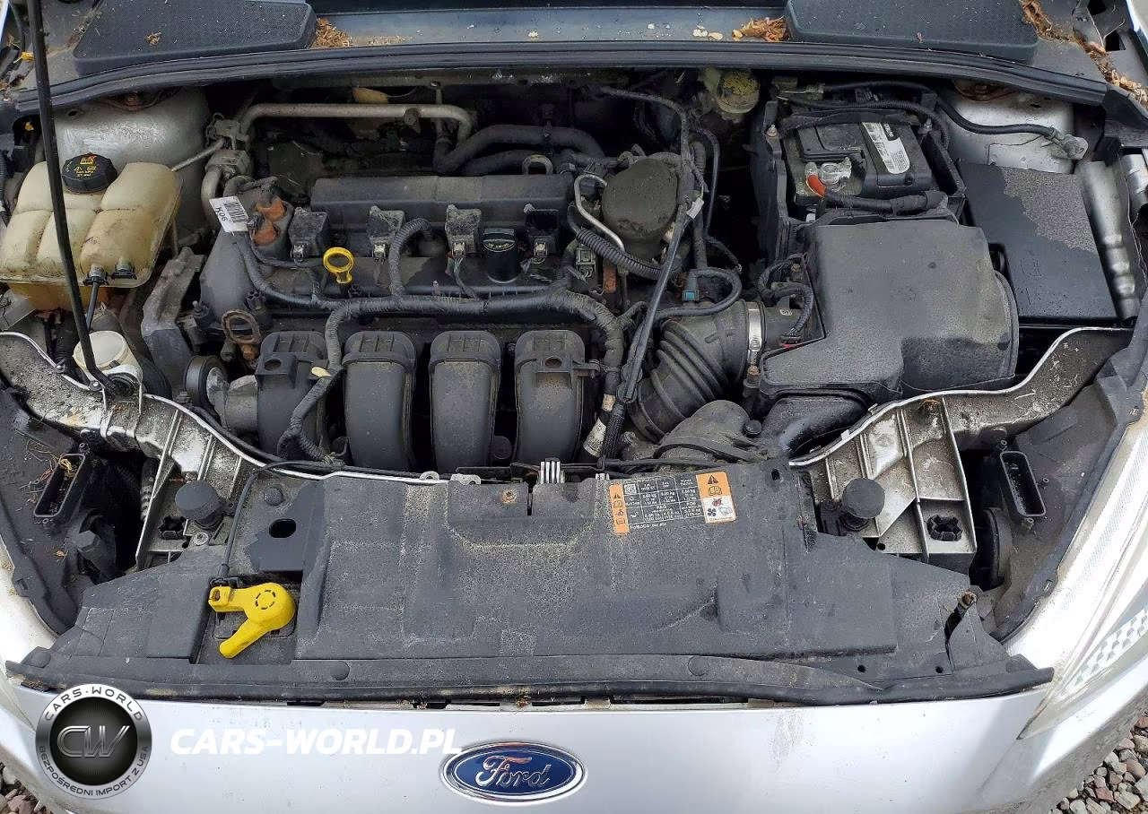 2016 Ford Focus Se VIN:1FADP3K29GL291030 - 11