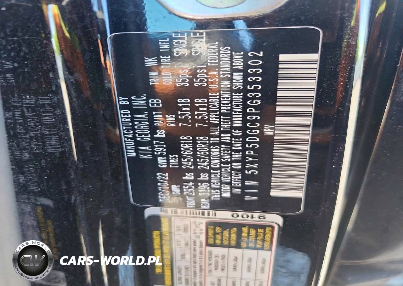 2023 Kia Telluride Sx X-Pro VIN:5XYP5DGC9PG353302 - 13