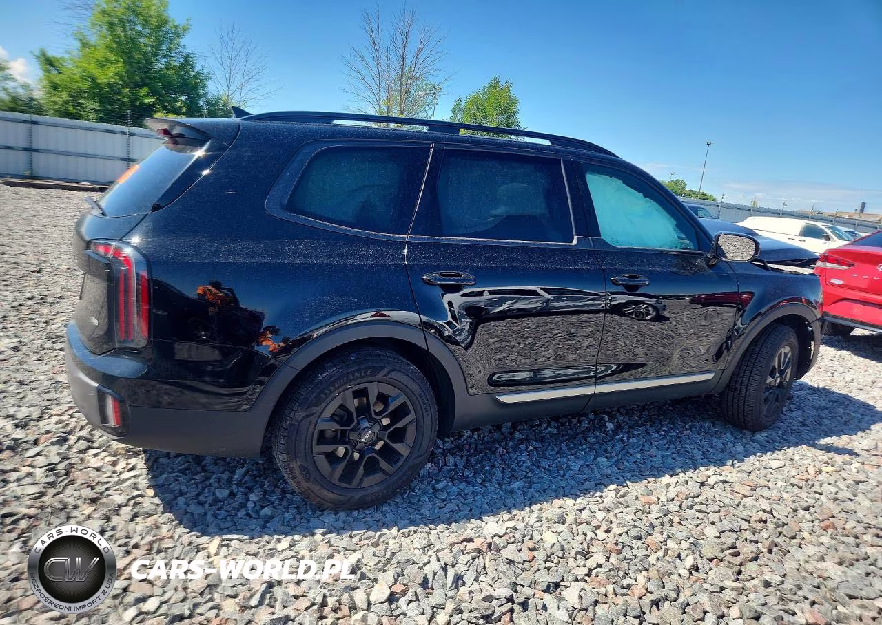 2023 Kia Telluride Sx X-Pro VIN:5XYP5DGC9PG353302 - 3
