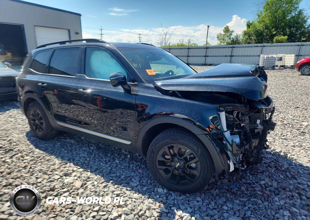 2023 Kia Telluride Sx X-Pro VIN:5XYP5DGC9PG353302 - 4