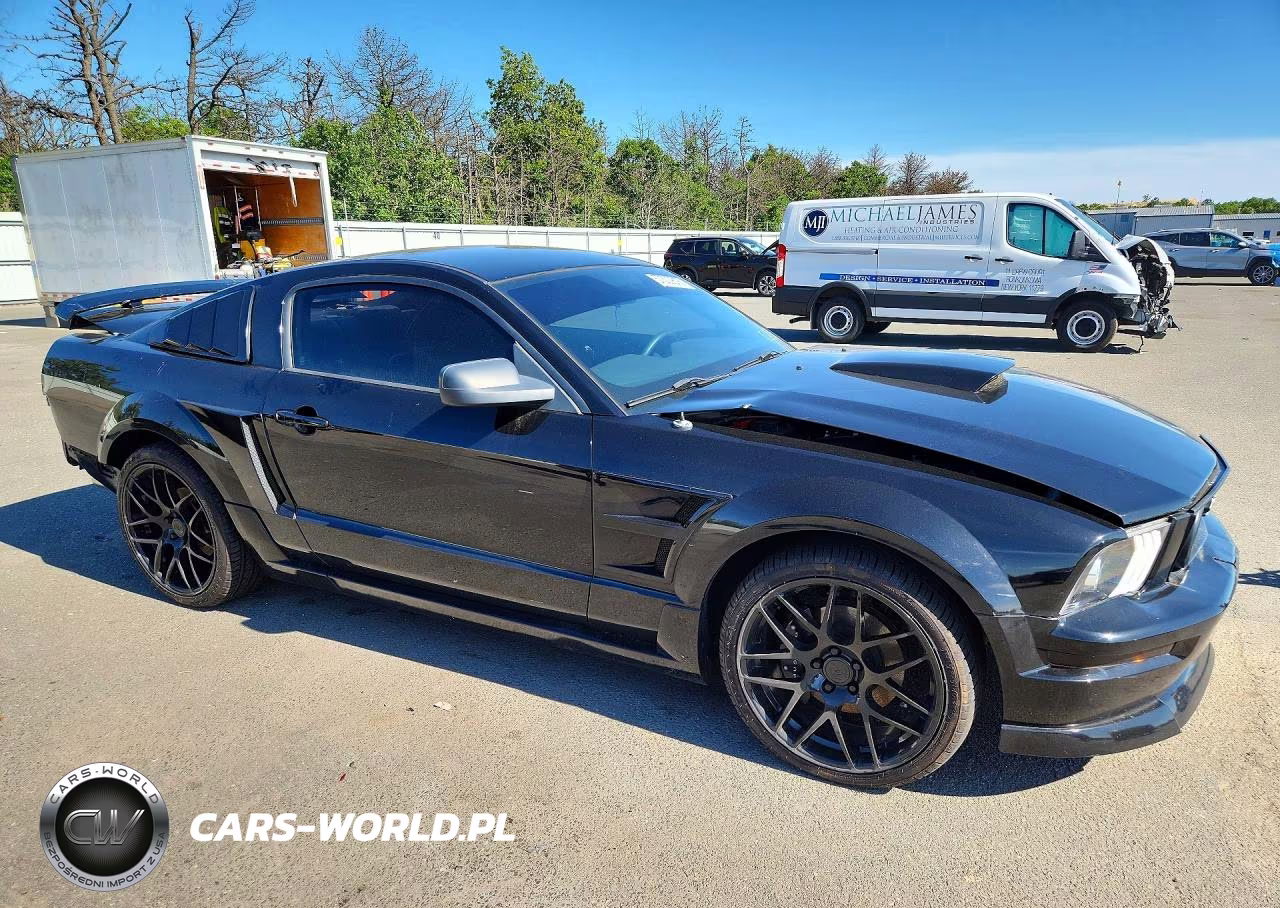 2005 Ford Mustang Gt VIN:1ZVFT82H955251626 - 4