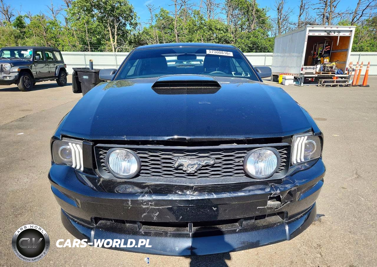 2005 Ford Mustang Gt VIN:1ZVFT82H955251626 - 5