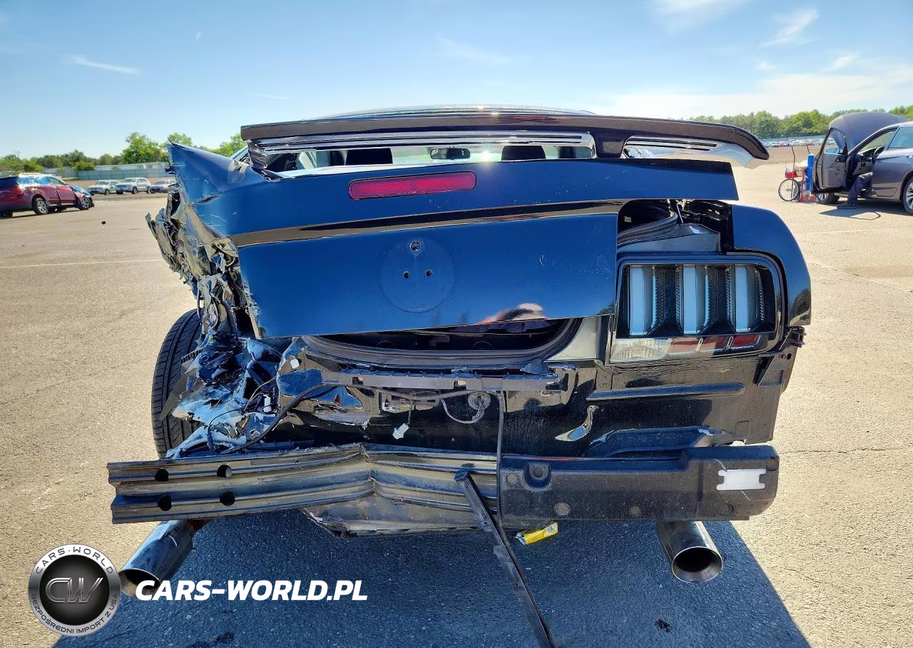 2005 Ford Mustang Gt VIN:1ZVFT82H955251626 - 6