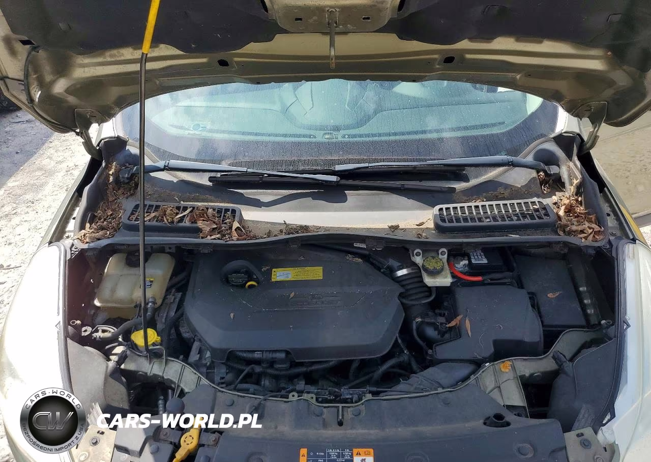 2013 Ford Escape Se VIN:1FMCU9GX6DUC90375 - 12