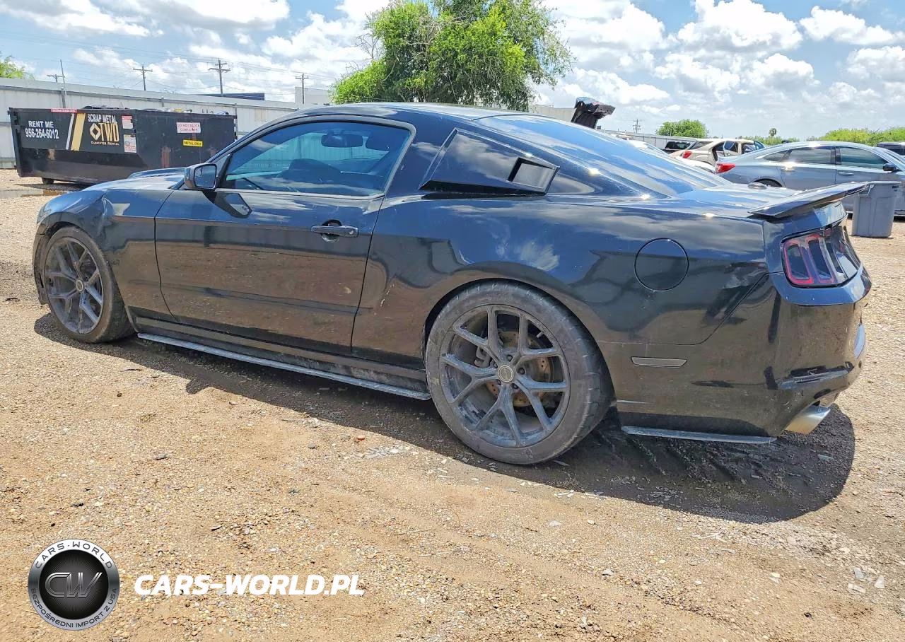 2013 Ford Mustang Gt VIN:1ZVBP8CF6D5284341 - 2
