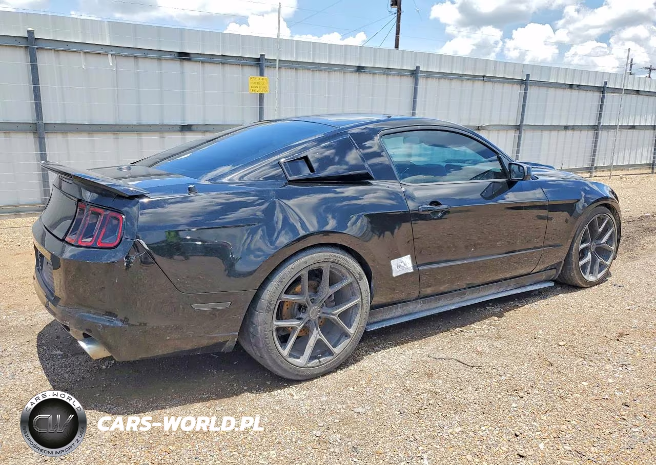 2013 Ford Mustang Gt VIN:1ZVBP8CF6D5284341 - 3