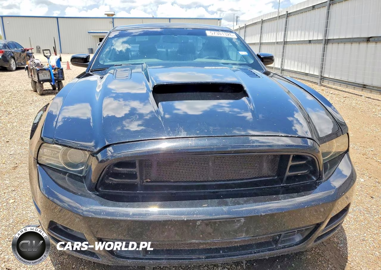 2013 Ford Mustang Gt VIN:1ZVBP8CF6D5284341 - 5