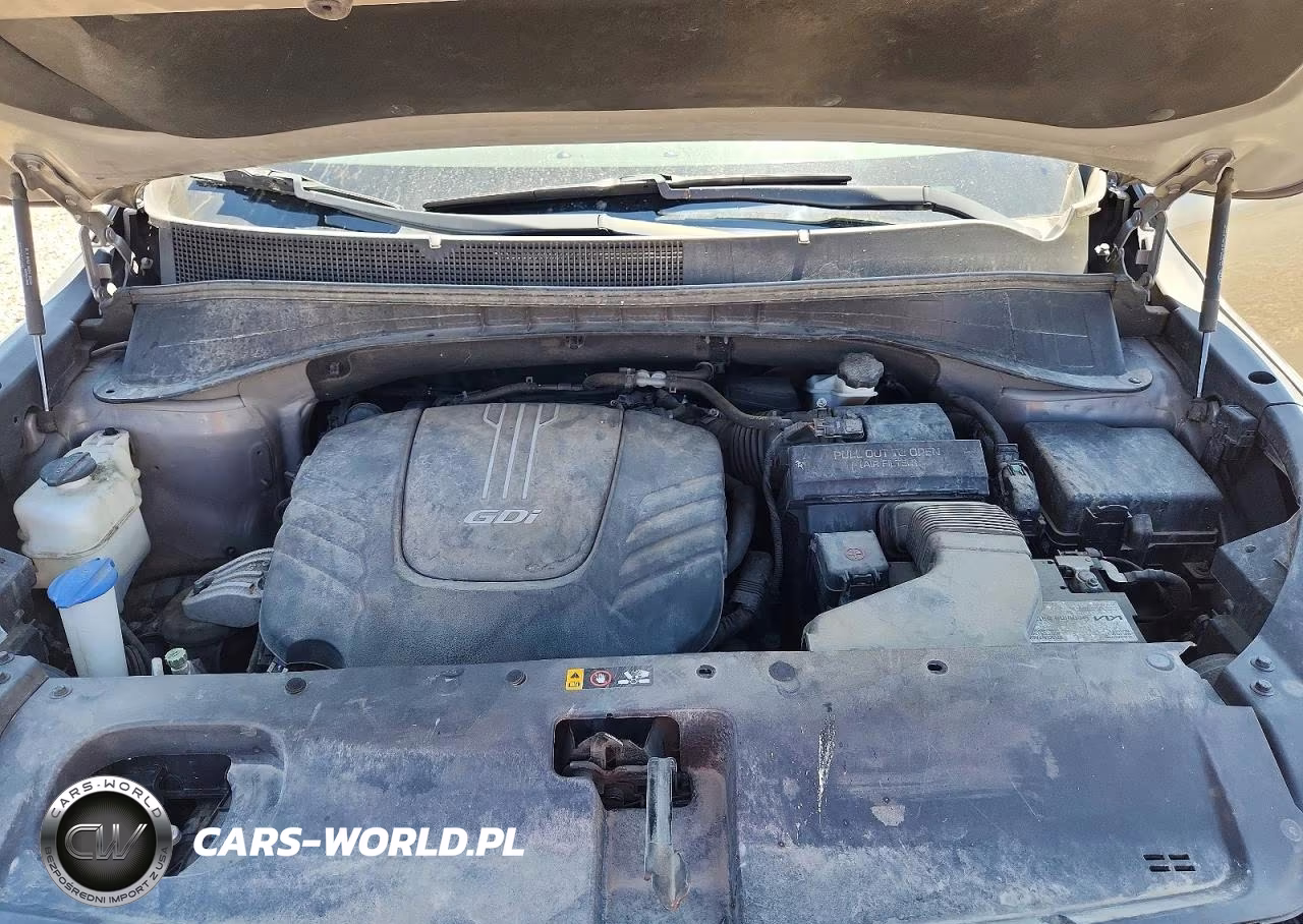 2017 Kia Sorento Lx V6 VIN:5XYPGDA51HG229336 - 12