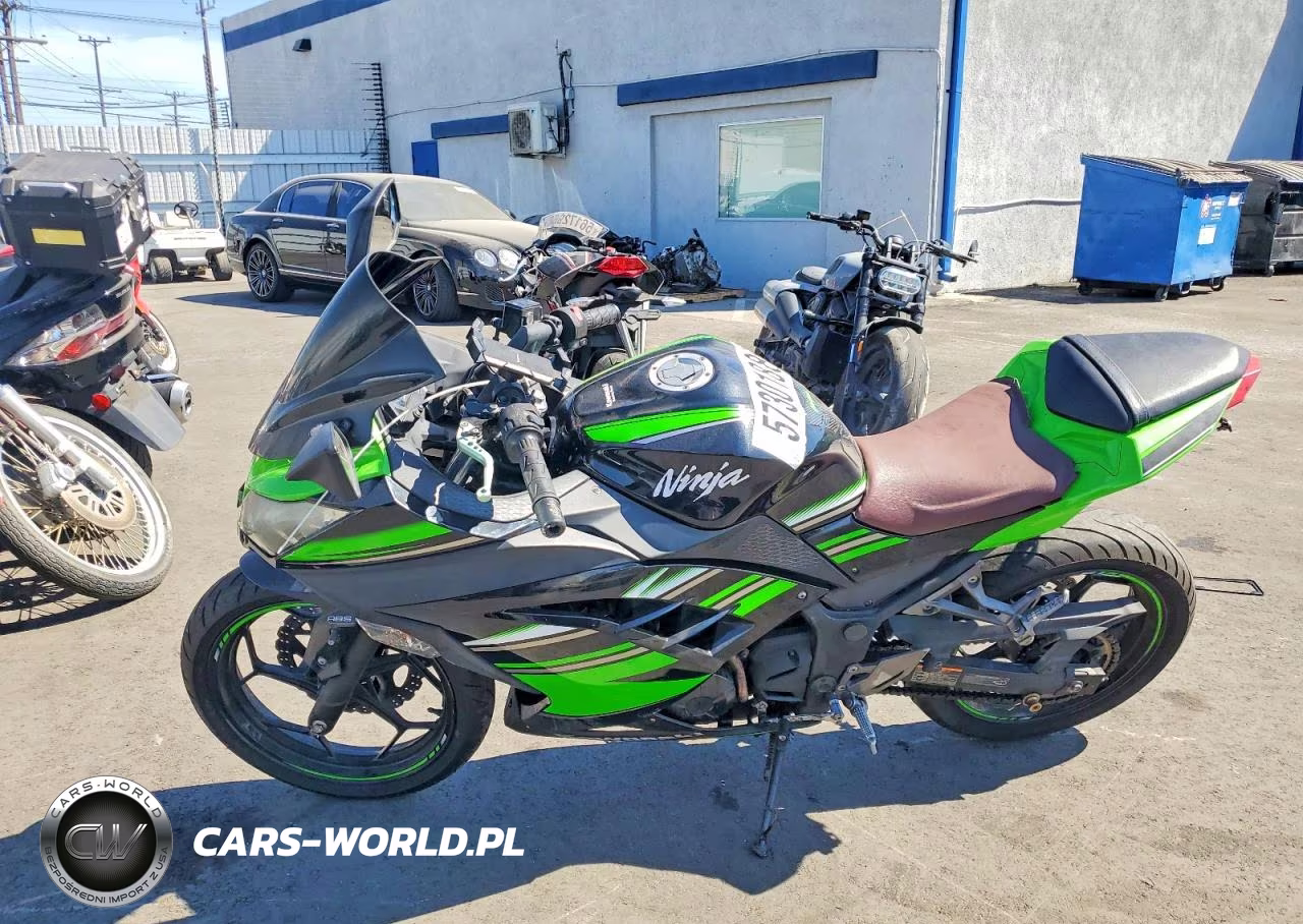 2016 Kawasaki Ex300 B VIN:JKAEX8B10GDA25969 - 3