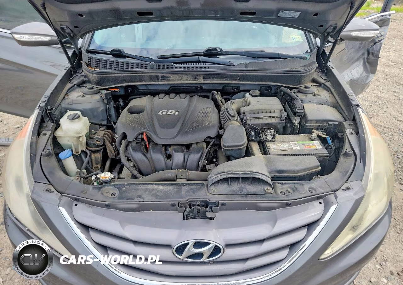 2014 Hyundai Sonata VIN:5NPEB4ACXEH922088 - 11