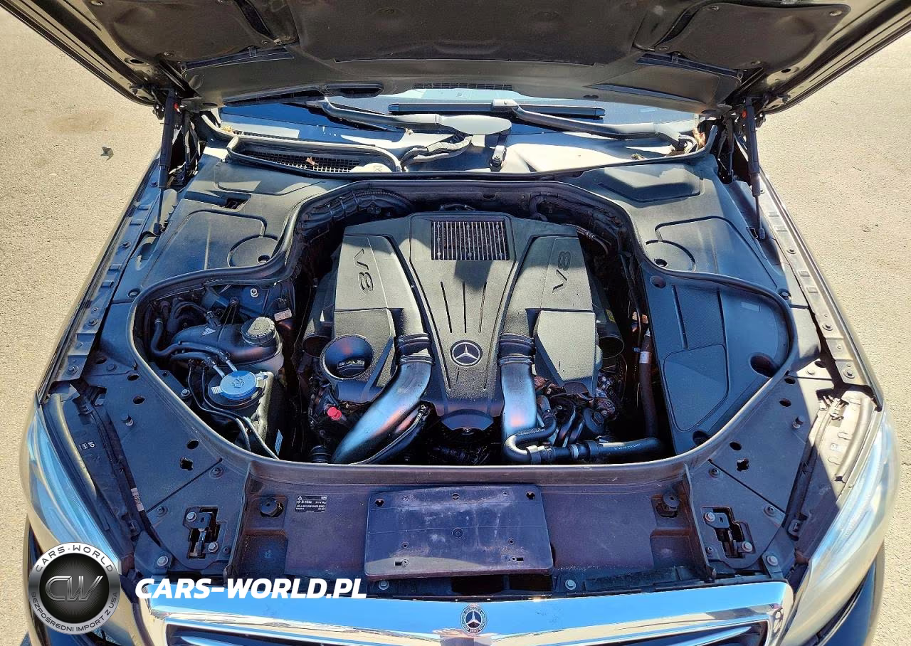 2014 Mercedes-Benz S 550 VIN:WDDUG8CB6EA015120 - 11