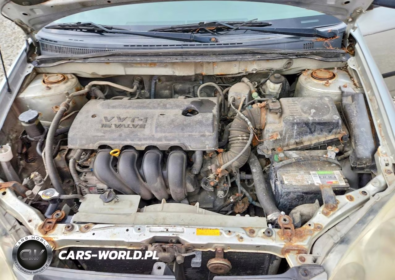 2004 Toyota Corolla Ce VIN:JTDBR32E442021422 - 11