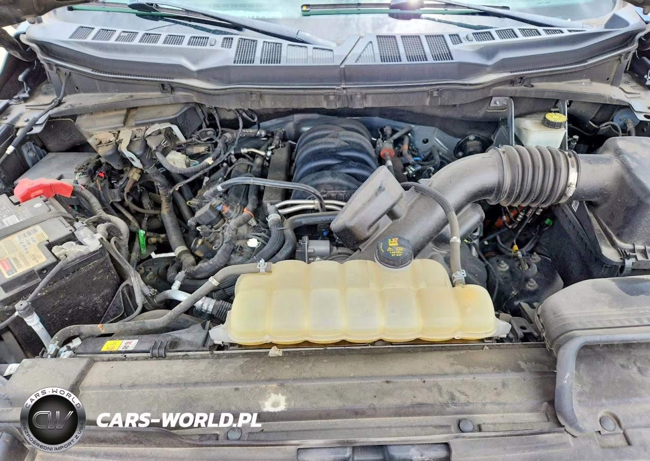 2023 Ford F150 Supercrew VIN:1FTFW1E50PKE07351 - 11