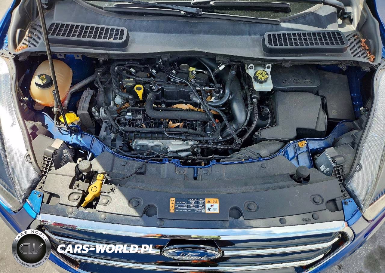 2019 Ford Escape Se VIN:1FMCU0GD8KUB06763 - 12