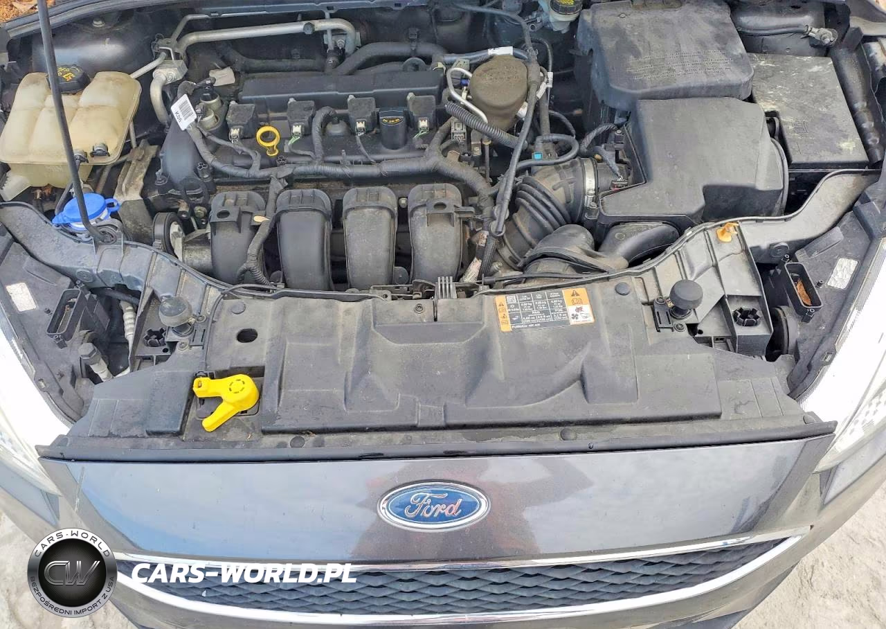 2016 Ford Focus Se VIN:1FADP3F26GL242684 - 11
