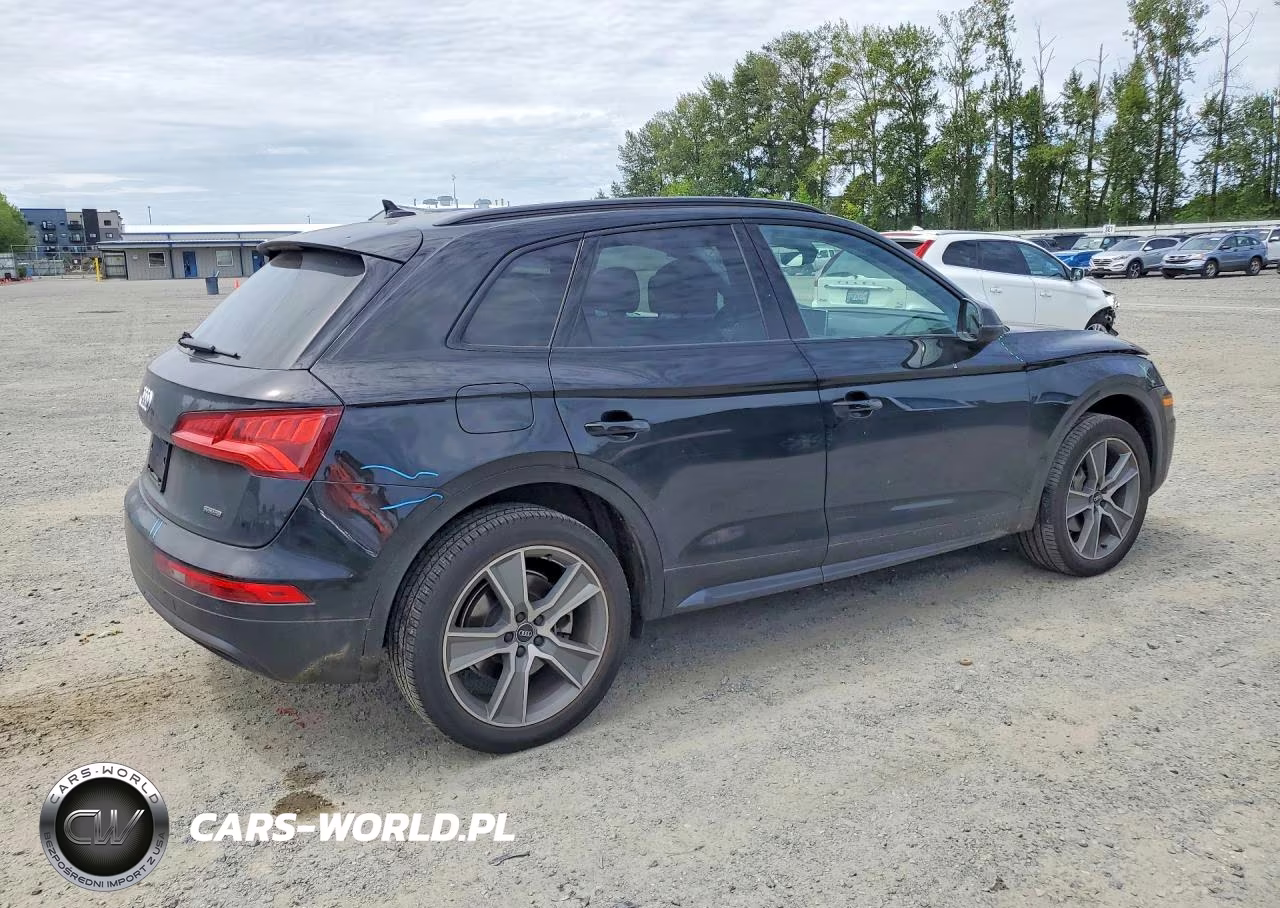 2019 Audi Q5 Premium Plus VIN:WA1BNAFY5K2036331 - 3